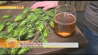 Art of Beer Preview