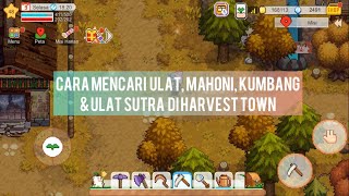 Cara mencari ulat,mahoni,ulat sutra | HARVEST TOWN INDONESIA