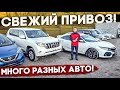 ❗️СВЕЖИЙ ПРИВОЗ РАЗНЫХ АВТО. HONDA CIVIC 2018 ГОД😍, LAND CRUISER PRADO, HARRIER И Т.Д.💣