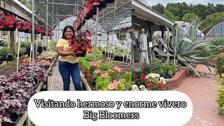 VISITANDO UN HERMOSO Y ENORME VIVERO Blig bloomers flowers farm