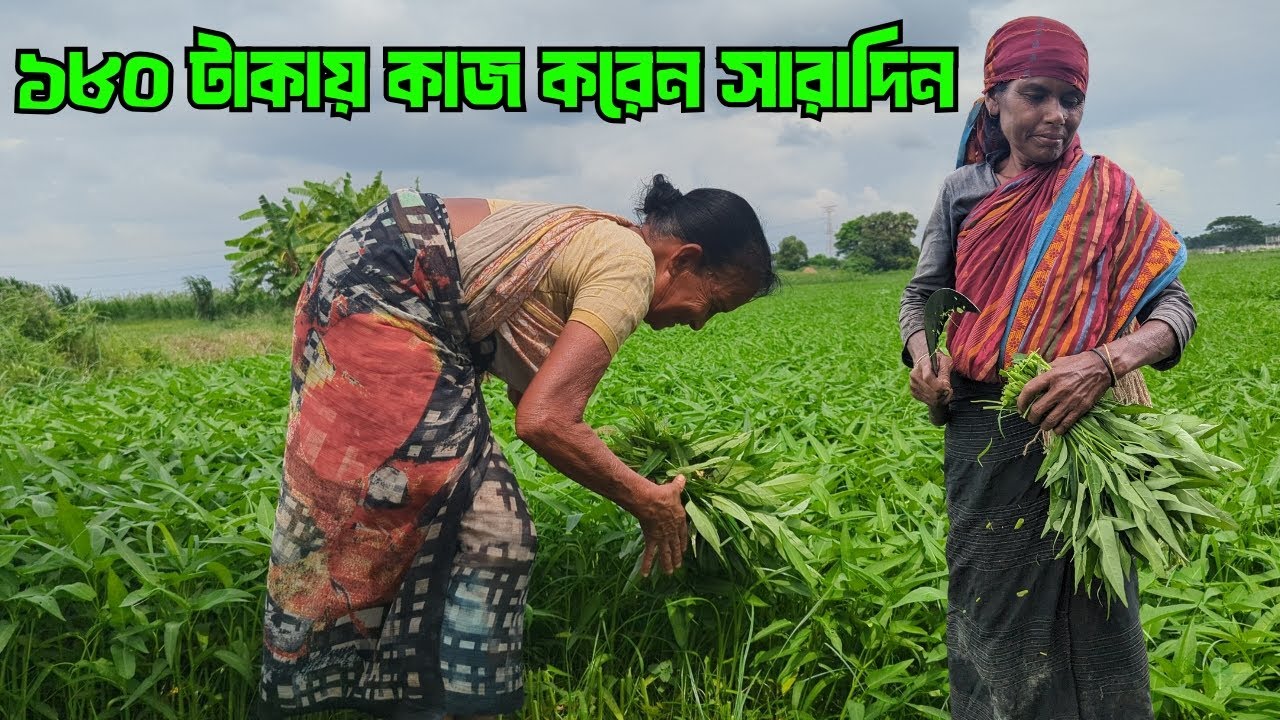 ১৮০ টাকায় কাজ করেন সারাদিন | গাইবান্ধা থেকে ঢাকায় এসে কাজ করছেন | gram bangla 2025