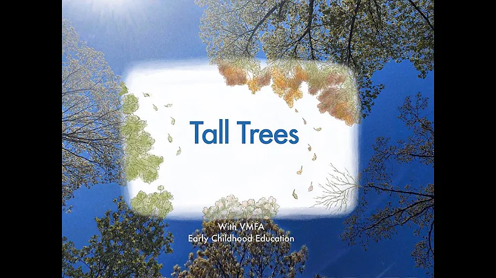 Creative Connection: Tall Trees