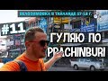 ХРАМЫ, СВАЛКИ, РЫБЫ, СОБАКИ И ЧЕРЕПАХИ ПРАЧИНБУРИ (Prachinburi). #11 ВЕЛОЗИМОВКА. ТАЙЛАНД