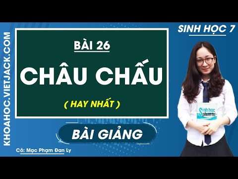 Video: Châu chấu hoạt động như thế nào?