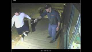 Mountain Lion in Nederland Porch Cam