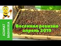 Весенняя ревизия карники апрель 2019