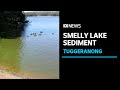 $1.5m to remove lurking stench and improve water quality at Canberra lake | ABC News