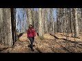 Ontario Envirothon Virtual Lab: Sustainable Forest Management