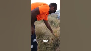 How Does the “Fighting Fire with Fire” Strategy Work? 🔥🔥 #shorts