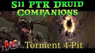 (D4) Companion Druid vs Torment 4 Pit T55 - Season 11 PTR