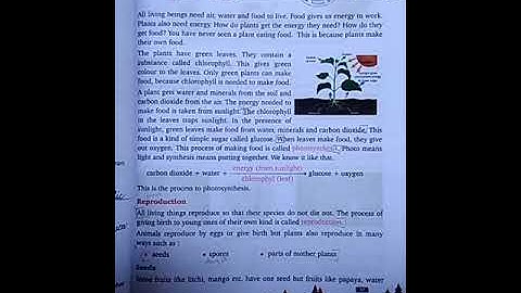 Class 5th evs chapter 7 Plant Life