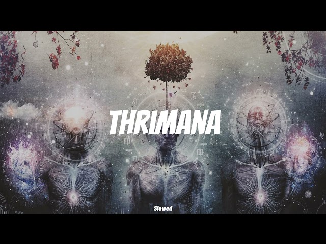 Ramesses Reezy -THRI MAANA (Slowed) ඔව් වෙනයි මං, මගේ වර්ගෙන් එකයි බං! class=