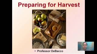 Preparing for Harvest