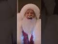 Arnold Schwarzenegger as Santa Claus ????