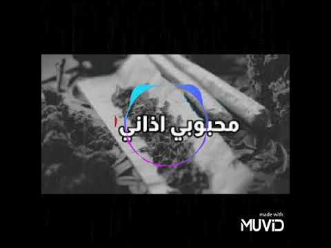 لفلي حشيش سمعني غنانيك