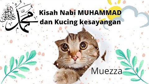 animasi islam || Kisah Nabi MUHAMMAD SAW Dan kucing kesayangan MUEZZA