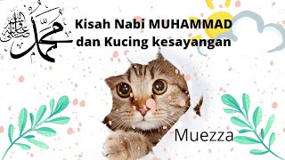 animasi islam || Kisah Nabi MUHAMMAD SAW Dan kucing kesayangan MUEZZA