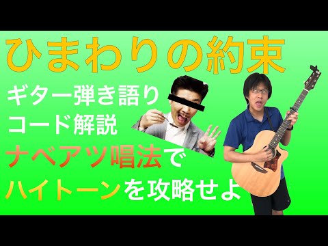 【楽譜あり】脱初心者!秦基博「ひまわりの約束」ギターコード弾き語り解説【ナベアツ唱法】