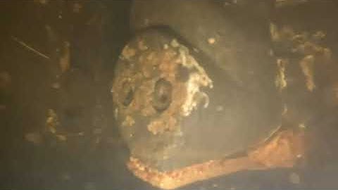 12 15 25 Unnamed SeaRay w OB UDZ