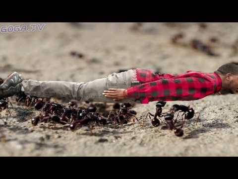 საინტერესო და უჩვეულო ფაქტები