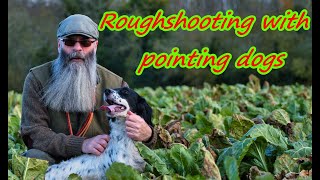 Roughshooting in Ireland with pointing dogs