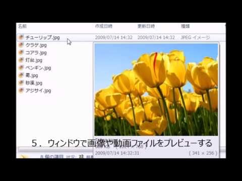 ひとつのウィンドウで複数のフォルダを表示する方法