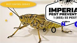Imperial Pest Prevention Youtube
