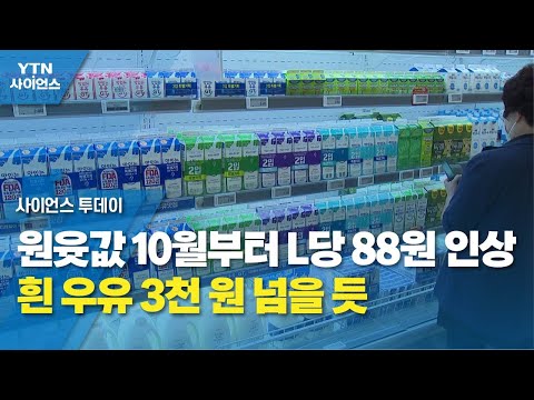 원윳값 10월부터 L당 88원 인상...흰 우유 3천 원 넘을 듯 / YTN 사이언스