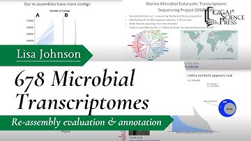 Lisa Johnson: Re-assembly evaluation, and annotation of 678 microbial transcriptomes
