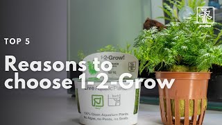 Top 5 Reasons to Choose 1-2-Grow | In vitro | Tissue Culture aquarium plants