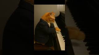 orange cat playing piano