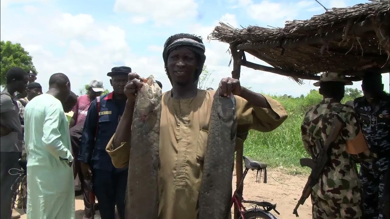 ROGO AT LARGE -WHEN NORTHERN BORNO SHINES AGAIN