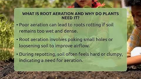 What Is Root Aeration And Why Do Plants Need It? - The Plant Enthusiast