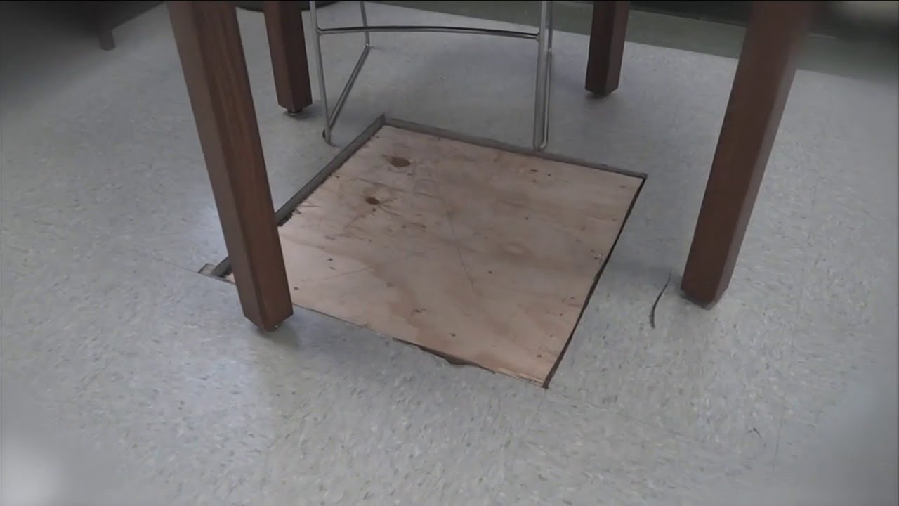 New UNF Poll on Referendums