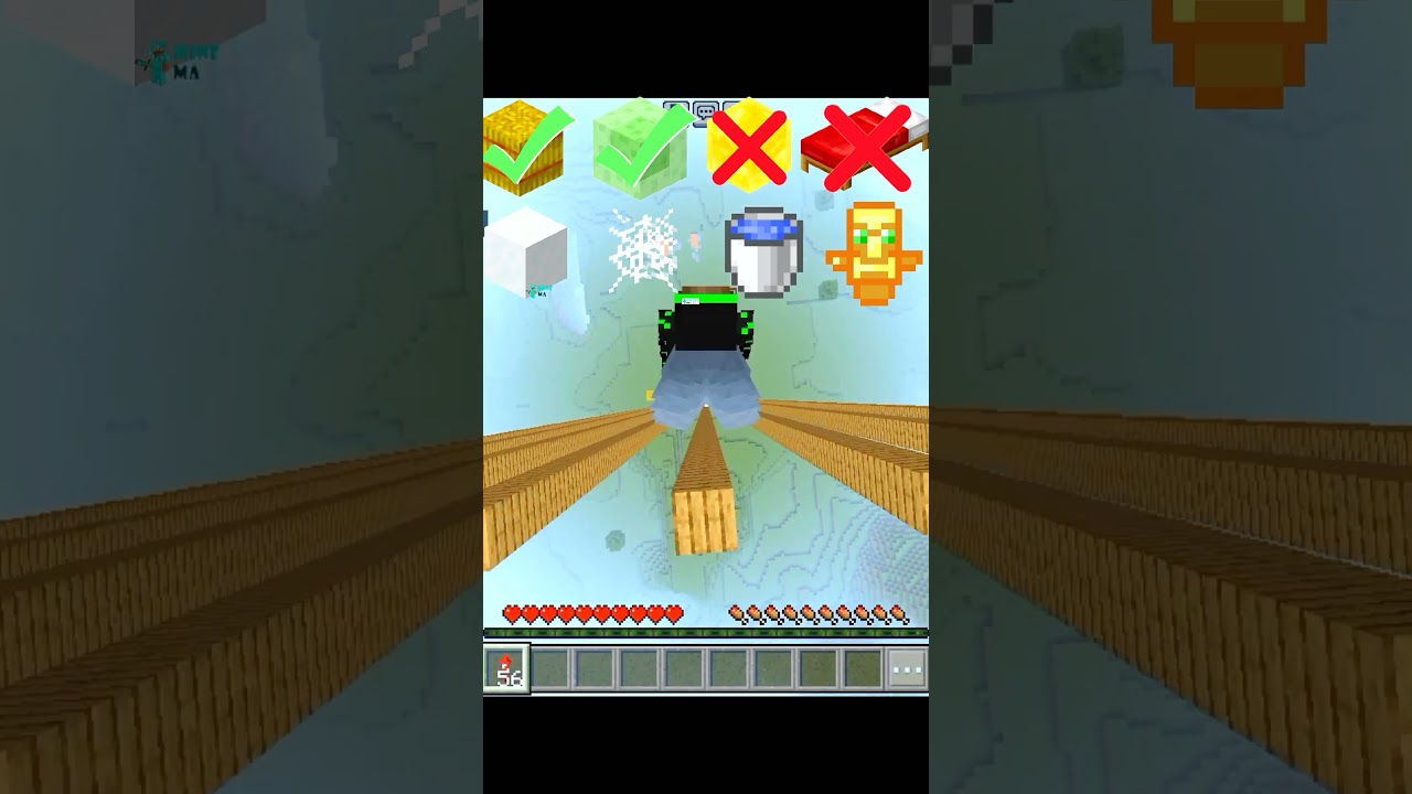 Minecraft Elytra Fall VS Different Blocks! 