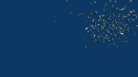 Blender fish (Boids Particles)