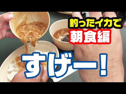 秋イカエギング・アジングで朝ごはんを釣る！#2