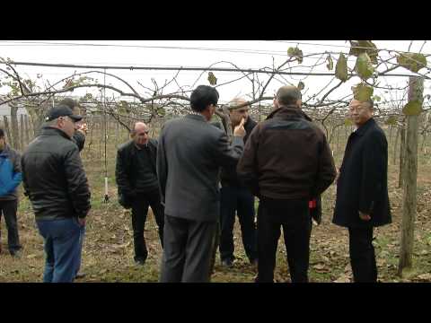 ჩინელი ინვესტორები სამეგრელო ზემო სვანეთში