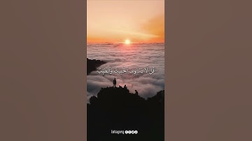 قل لا يستوي الخبيث ولا الطيب ولو أعجبك كثرة الخبيث فإتقوا الله يا أولى الألباب | سورة المائده |