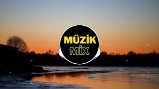 Burcu Güneş - Şerefine (Fatih Yılmaz) Remix @muzikmixofficial