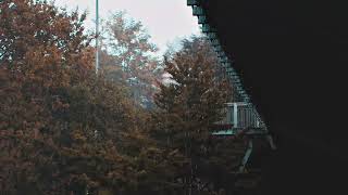 Cozy Rain & Soft Ambient Music for Deep Focus, Intense Work, Writing & Creative Thinking 🌧️⁠ screenshot 4