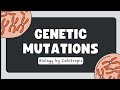 Genetic Mutations - Change in genetic material #biology