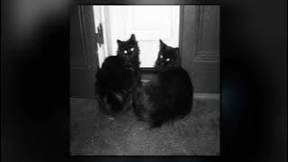 Download lagu Lace — Risk ( Slowed   Reverb )