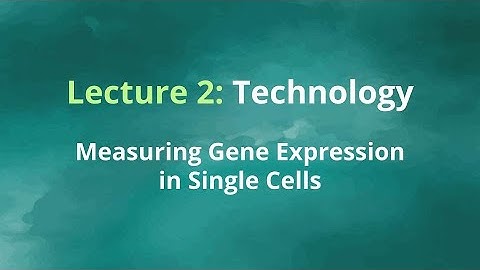 Obesity ML Competition: Lecture 2, Part A - Tech - Gene Expression Programs