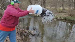 Pennsylvania Trout Stocking Begins Statewide (2023)