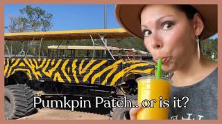Pumpkin Patch Adventures with a Twist | Family of 7 RV Life 🎃🍊