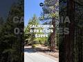 0.98 Acres with road access for Sale in California Pines California for $3,995 #fyp #foryou #reels