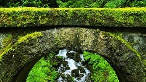 سورة الشعراء للقارئ عبدالله ناصر الوهيبي