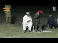 Dog race  flod light dori track race round  1 gornh pathan sial mor dog pets puppy