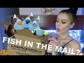 I Tried Ordering Live Fish in the Mail